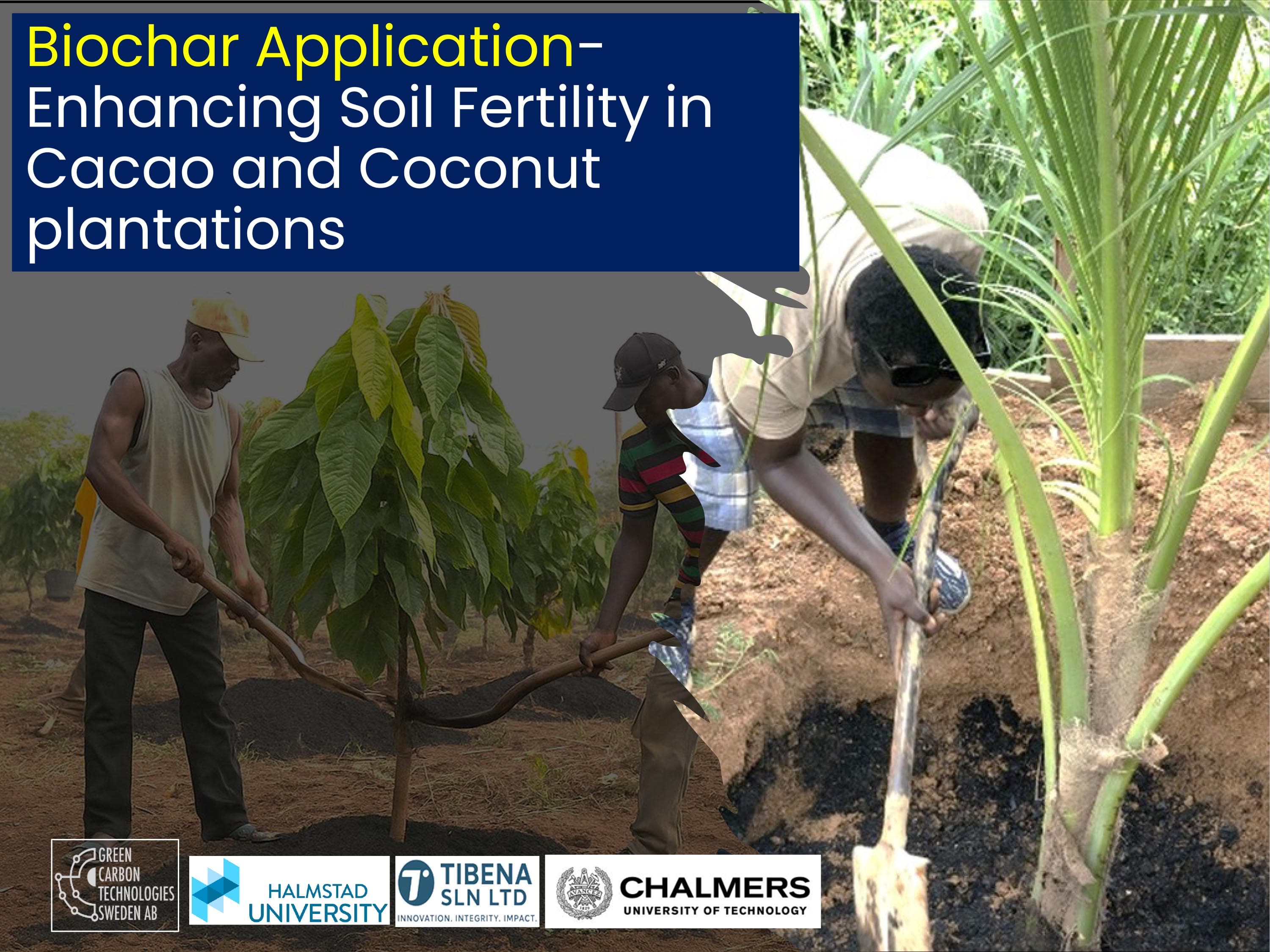 Biochar Application