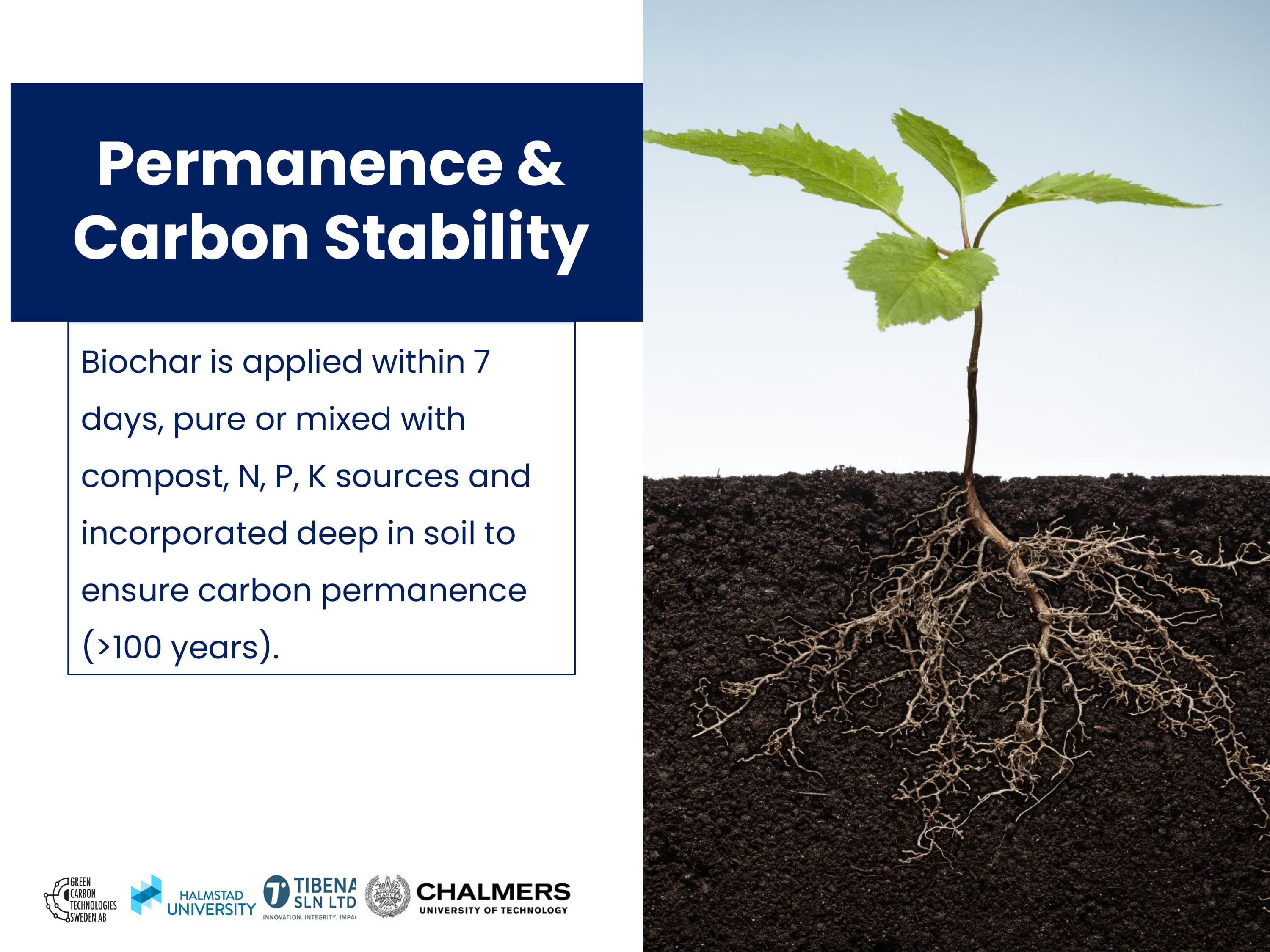 Healthy Soil